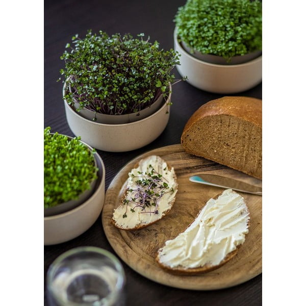 Plastična posuda za klice Microgreens + Regrow – Plastia-image-3