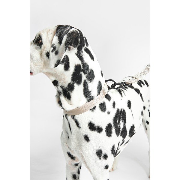 Bež ogrlica S/M dužina 32 cm Modena Greige S/SM – MiaCara-image-1