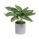 Umjetna biljka (visina 21 cm) Syngonium – Ixia