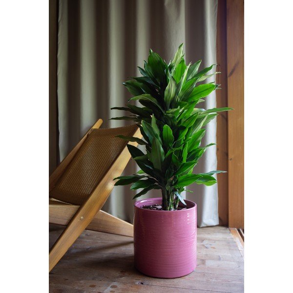 Keramička ručno rađena ukrasna tegla za cvijeće ø 25 cm Fortuna – Artevasi-image-1