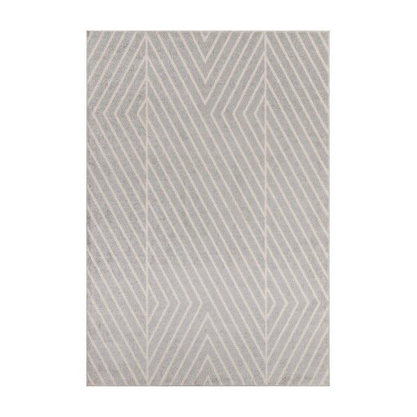 Svijetlo sivi tepih 160x230 cm Muse – Asiatic Carpets