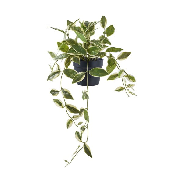 Umjetna biljka (visina 33 cm) Hoya Carnosa – House Nordic