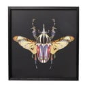 Uokvirena slika Kare Design Beetle, 60 x 60 cm