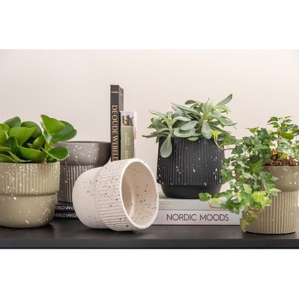 Svijetlo bež betonska tegla za cvijeće ø 14 cm Speckles - PT LIVING-image-1