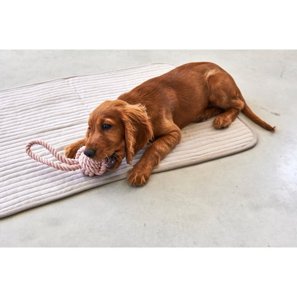 Siva pamučna deka za pse 60x80 cm Onda Greige S – MiaCara-image-3