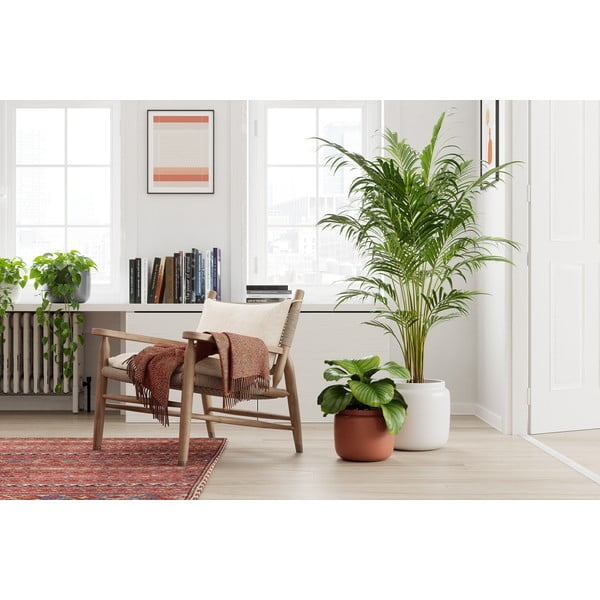 Keramička ručno rađena tegla za cvijeće ø 20 cm Astrea – Artevasi-image-3