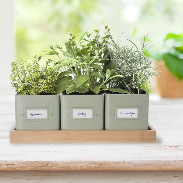 Metalne posude za cvijeće u setu 3 kom za bilje Greenish – Orion-image-1