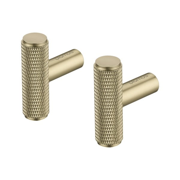 Metalne zidne kuke u setu mjedene 2 kom Rof – Blomus