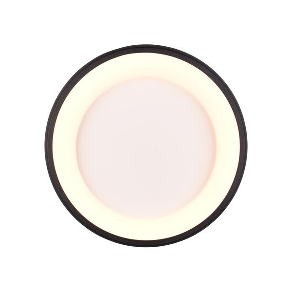 Crna LED stropna svjetiljka s mogućnosti zatamnjivanja Cardona – Trio-image-4