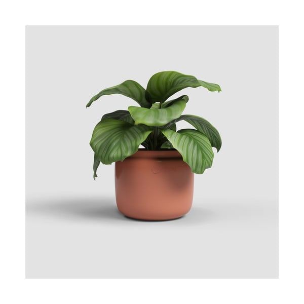 Keramička ručno rađena tegla za cvijeće ø 20 cm Astrea – Artevasi-image-1