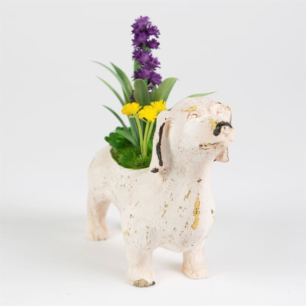 Sass &amp; Belle Flowers ukras za pse-image-1