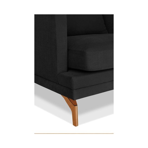 Tamno sivi trosjed Windsor &amp; Co. Sofe Jupiter-image-2