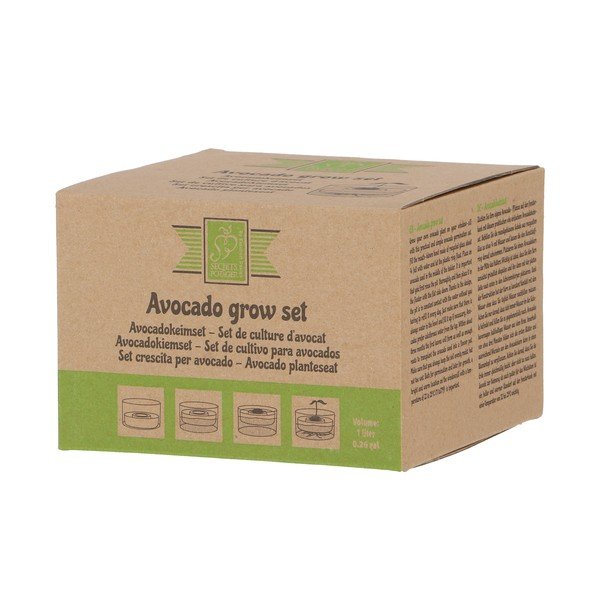 Staklena posuda za klice ø 14 cm Avocado – Esschert Design-image-4