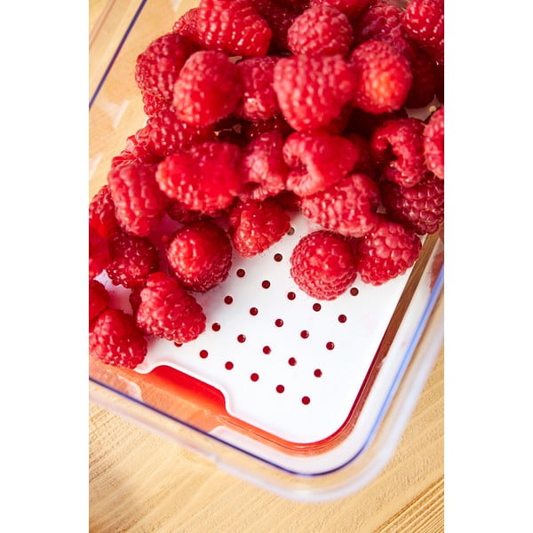 Plastičan organizator za hladnjak Cauma – Rotho-image-3