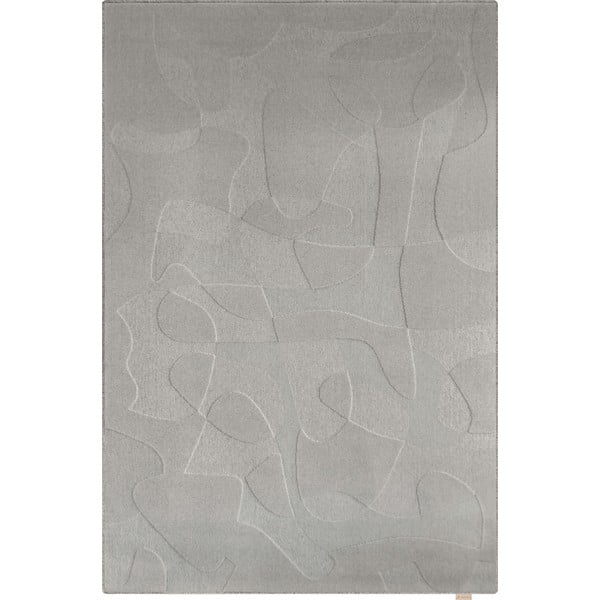 Sivi vunen tepih 200x300 cm Morphic Botanica – Agnella
