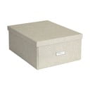 Kutija za pohranu s poklopcem Katrin – Bigso Box of Sweden