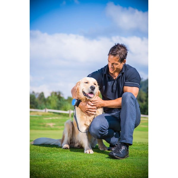 Zeleni povodac S 3 Neon – Lishinu-image-3