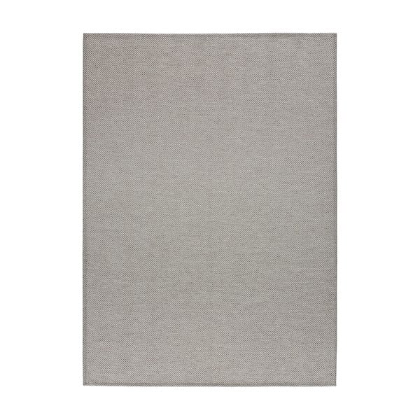 Sivi tepih 160x230 cm Espiga – Universal
