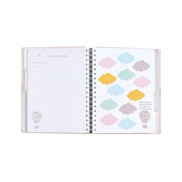 Pink Baby Diary Busy B-image-2