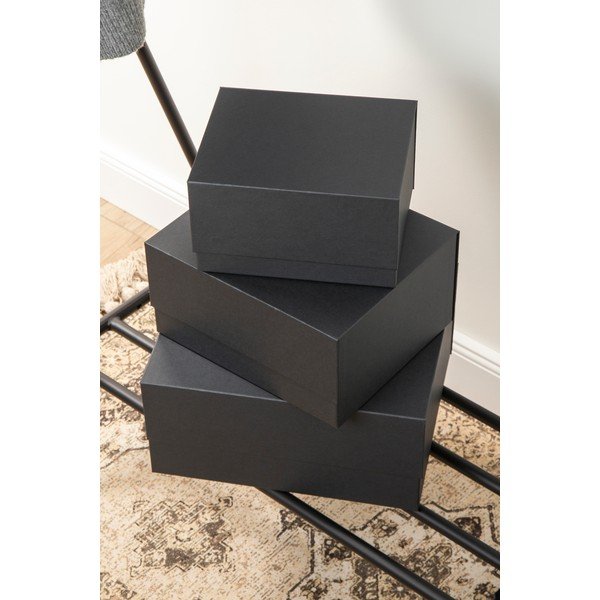 Kartonske kutije za pohranu u setu  3 kom s poklopcem Ilse – Bigso Box of Sweden-image-1