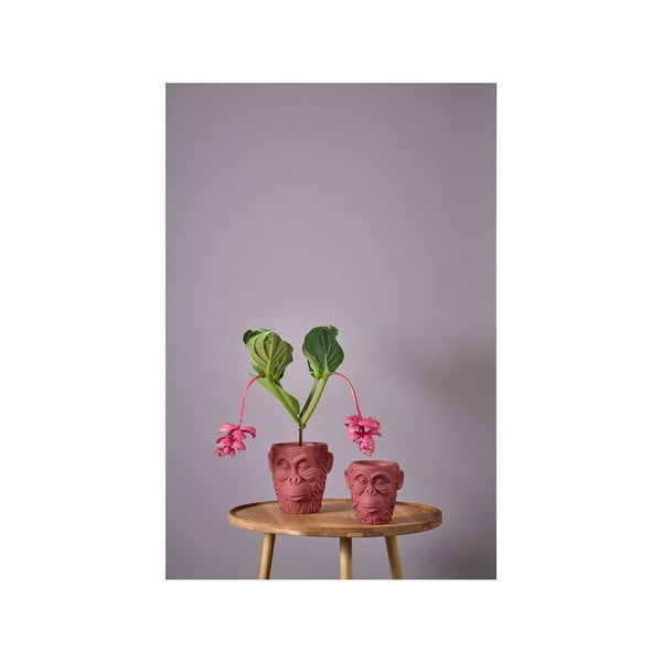 Crvena posuda za cvijeće Villa Collection Calbe, visina 19 cm-image-3