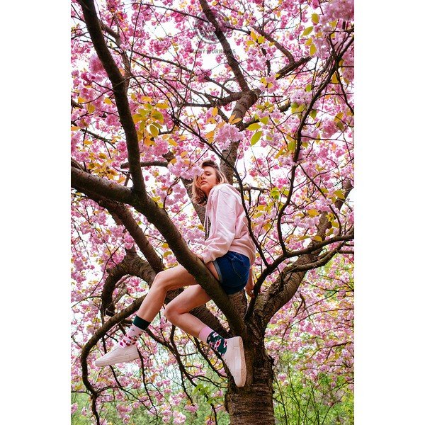 Čarape Many Mornings Cherry Blossom, vel. 35–38-image-1