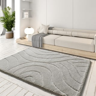 Svijetlo sivi tepih 160x230 cm Molier – Universal