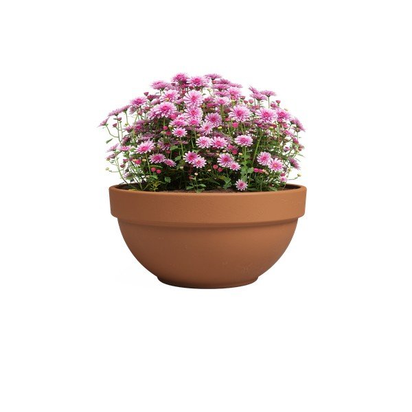 Tegla za cvijeće od terakote ø 20 cm Amalia Campana – Artevasi-image-2