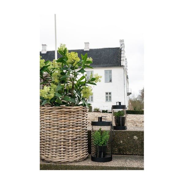 Umjetna biljka Skimmia - House Nordic-image-4