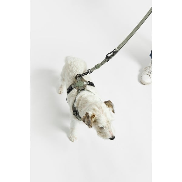 Bež preklopni povodac dužina 200 cm Modena Greige 20 mm – MiaCara-image-4