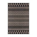 Crno-bež vanjski tepih NORTHRUGS Sidon, 200 x 290 cm