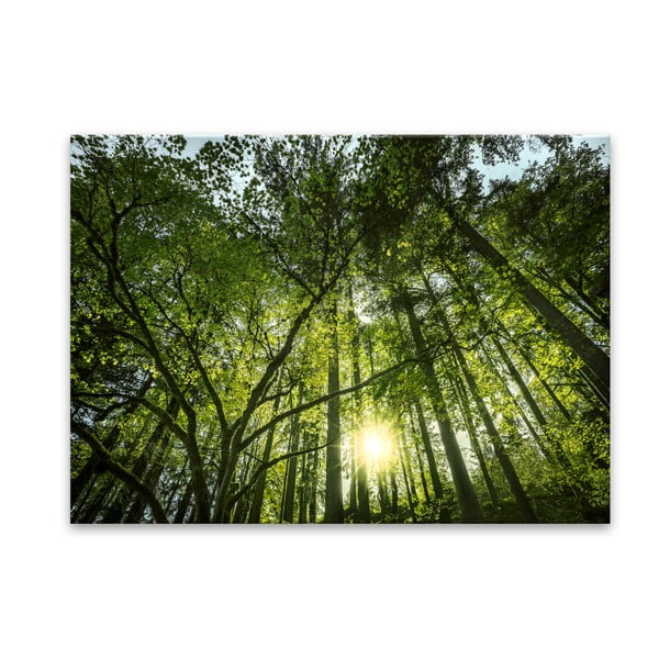 Slika Styler Glas Nature Green, 80 x 120 cm