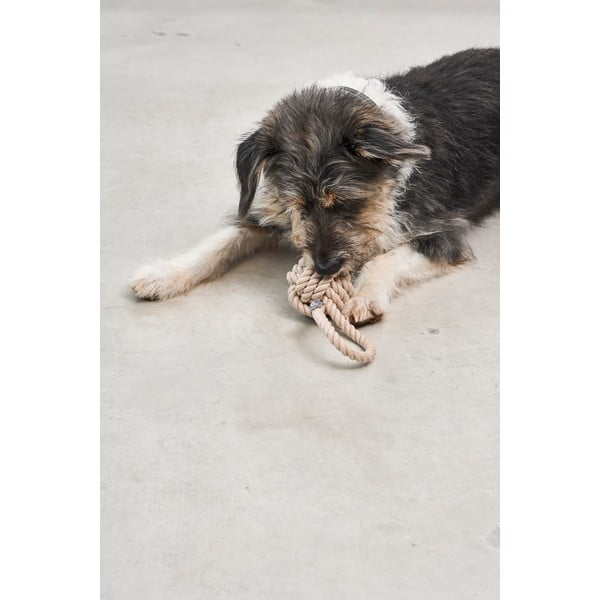 Igračka za psa Nodo Greige – MiaCara-image-1