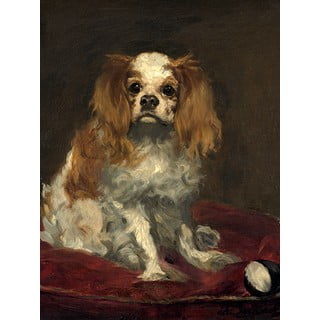 Reprodukcija slike Edouarda Maneta - A king Charles Spaniel, 30 x 40 cm