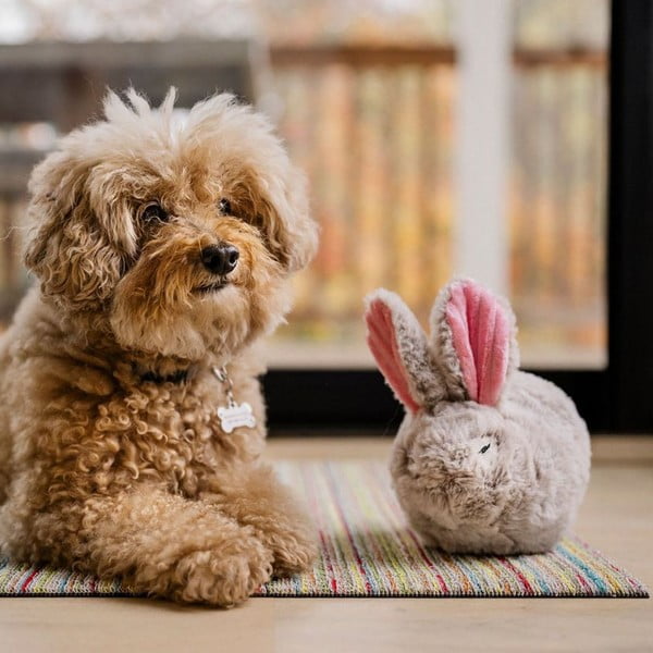 Igračka za psa Rabbit – P.L.A.Y.-image-2