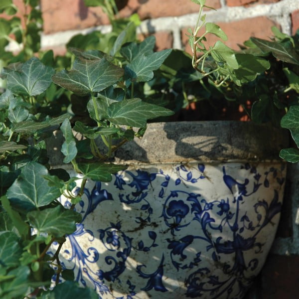 Keramička viseća i zidna posuda za cvijeće – Esschert Design-image-2