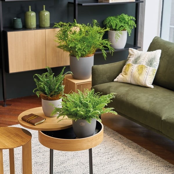 Keramička posuda za cvijeće ø 24 cm Basel Stone - Big pots-image-1