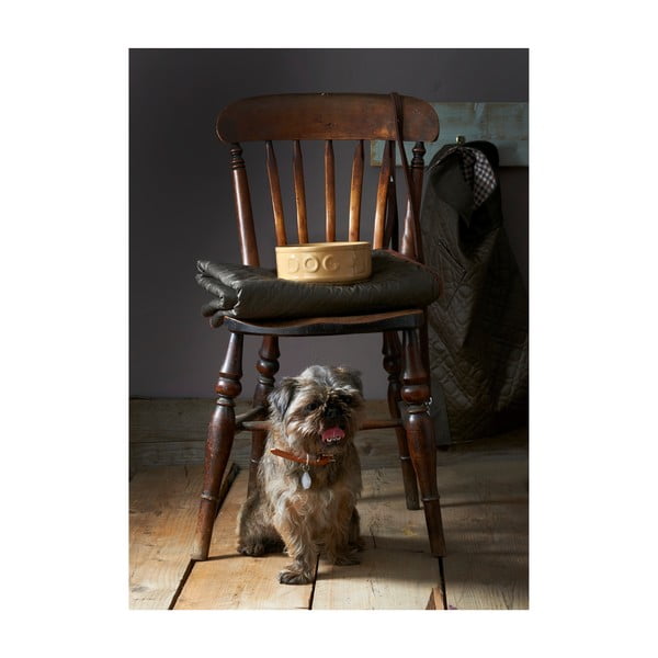 Zdjela od kamenine za pse Mason Cash Dog Cane, ø 25 cm-image-2