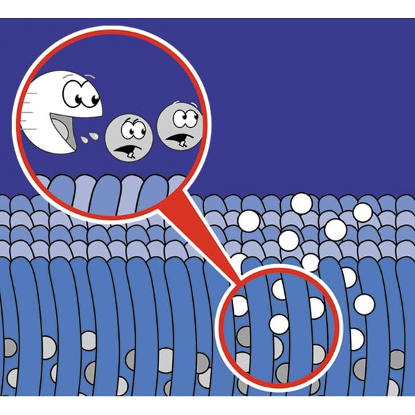 Sprej za čišćenje tepiha 500 ml Nano - Maximex-image-1