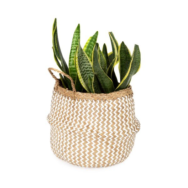 Svijetla košara za pohranu od morske trave Compactor Zic Zac, ⌀ 27 cm-image-1