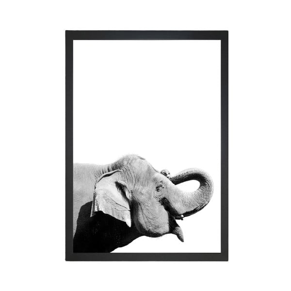 Poster Tablo Center Elephant, 24 x 29 cm