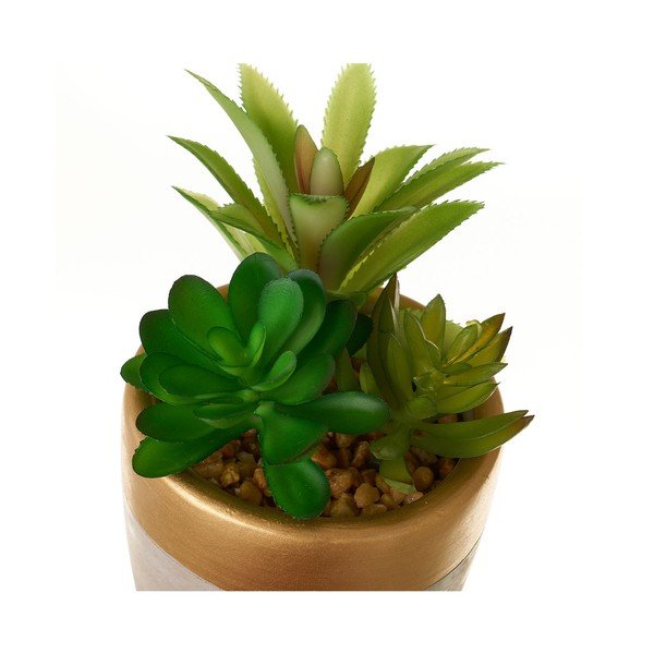Umjetne biljke u setu 4 kom (visina 17 cm) Cactus – Casa Selección-image-1