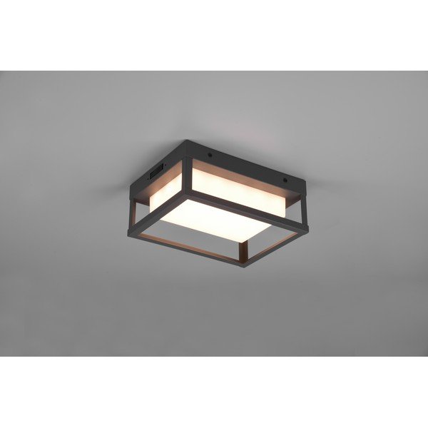 LED vanjska zidna svjetiljka (visina 24 cm) Witham - Trio-image-2