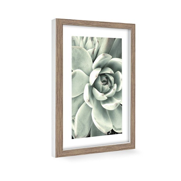 Poster 60x90 cm Aloe-image-1