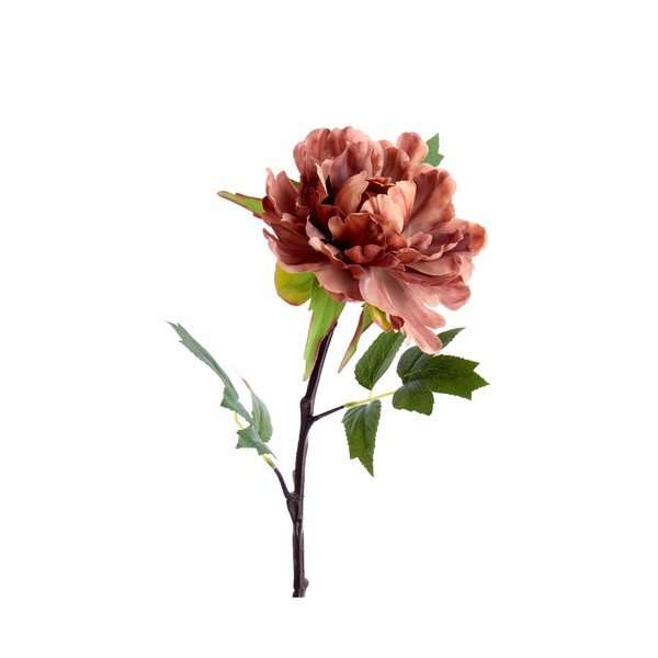 Umjetna biljka (visina 65 cm) Peonia – Light & Living-image-1