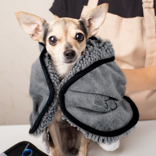 Ručnik za kućnog ljubimca – Love Story-image-1