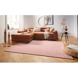 Ružičasti tepih metvice Rugs SuperSoft, 120 x 170 cm