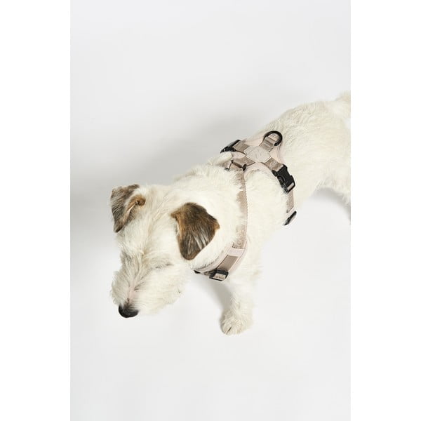 Bež uprtač S dužina 30 cm Modena Greige S – MiaCara-image-2