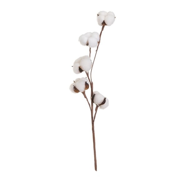 Umjetna suha biljka (visina 55 cm) Cotton – Casa Selección