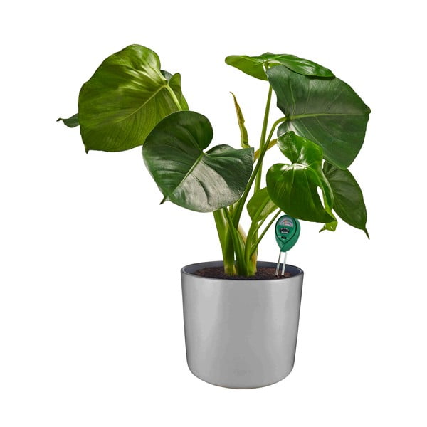 PH mjerač tla – Garden Pleasure-image-1